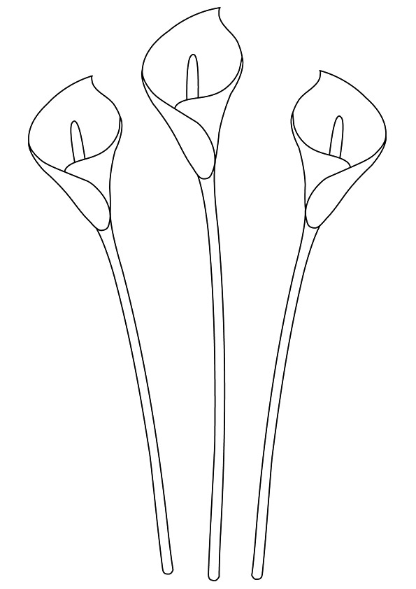 Plansa de colorat cu Liliac 53 49